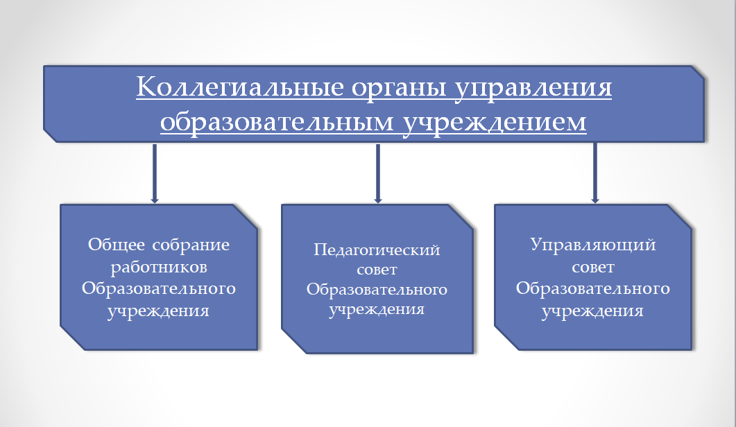 коллегиальные органы